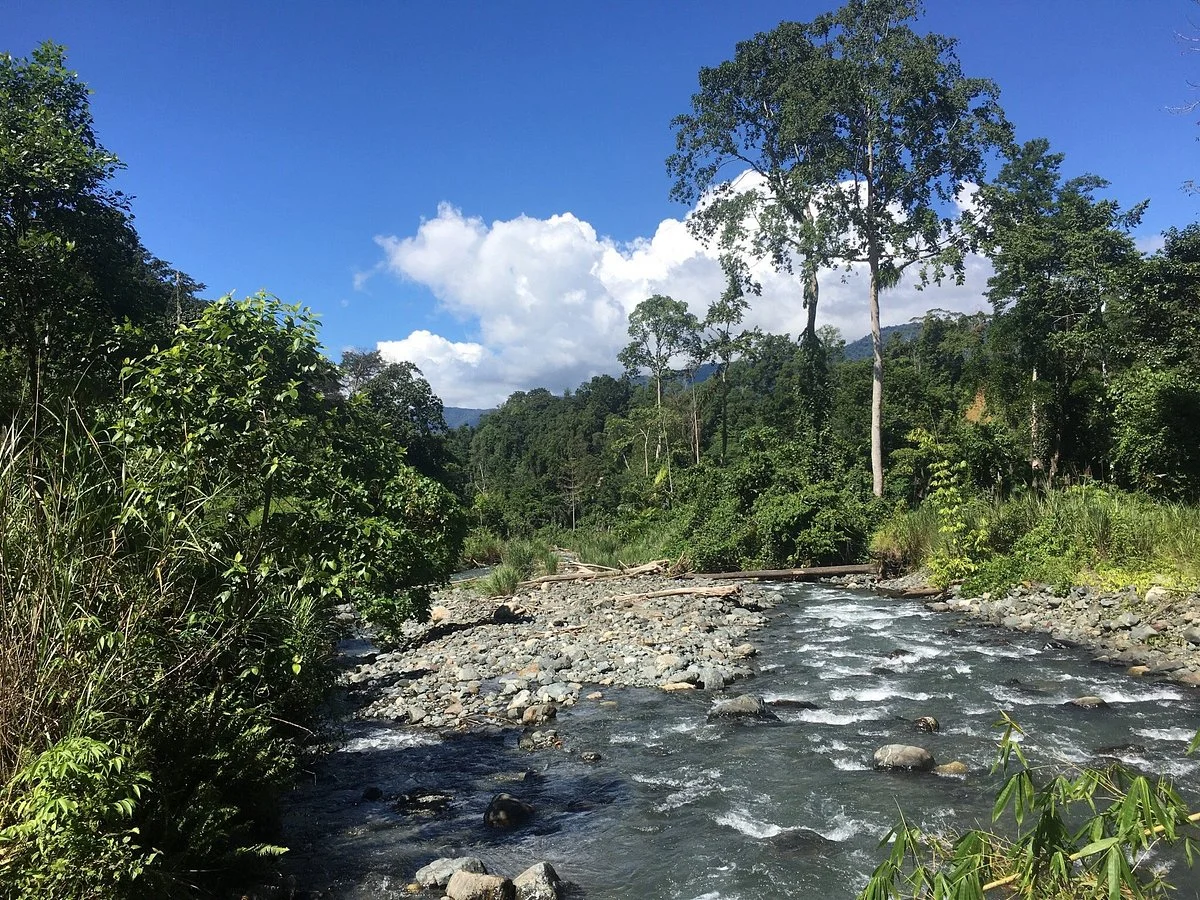 Lore Lindu National Park