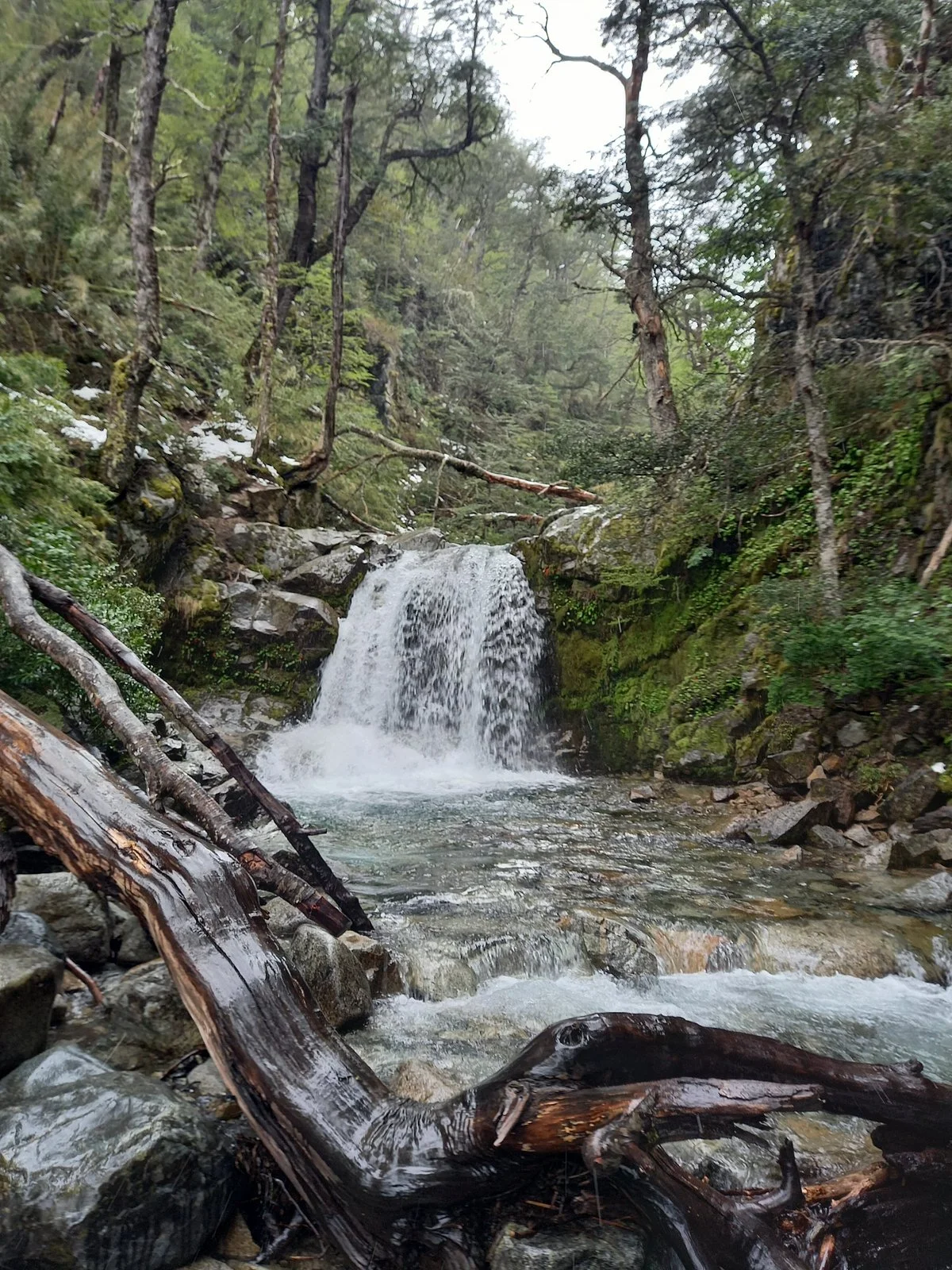 Inacayal