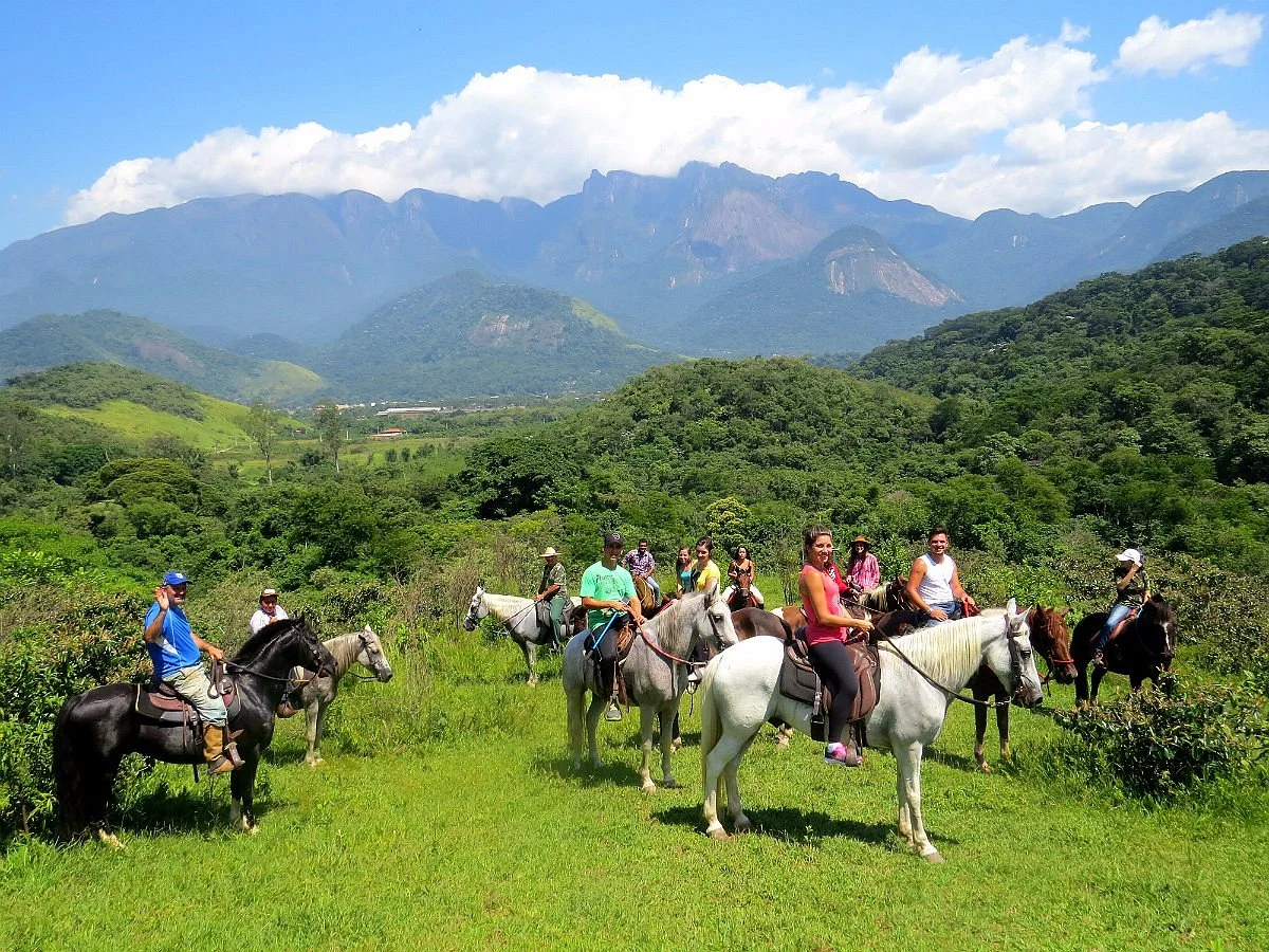 Haras Vale do Fojo