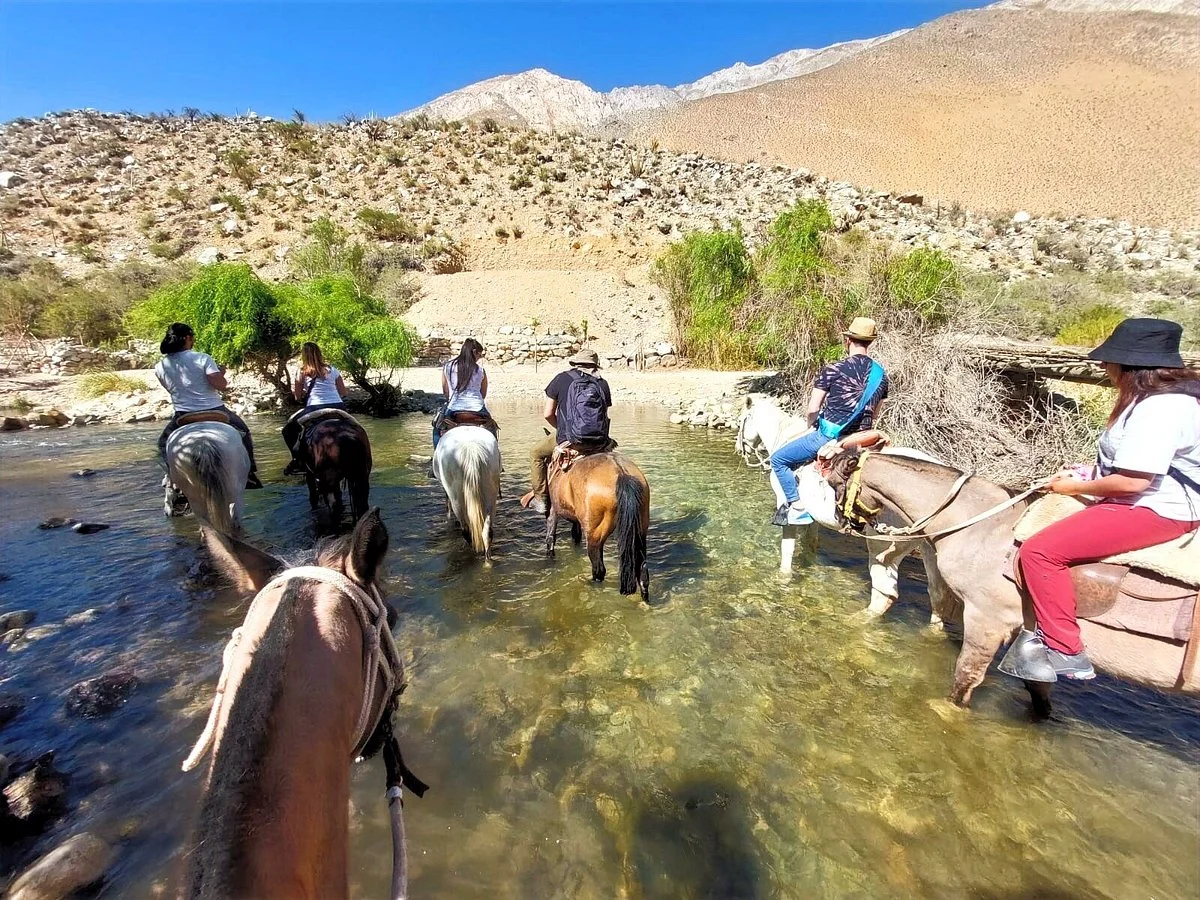 Elqui Experience