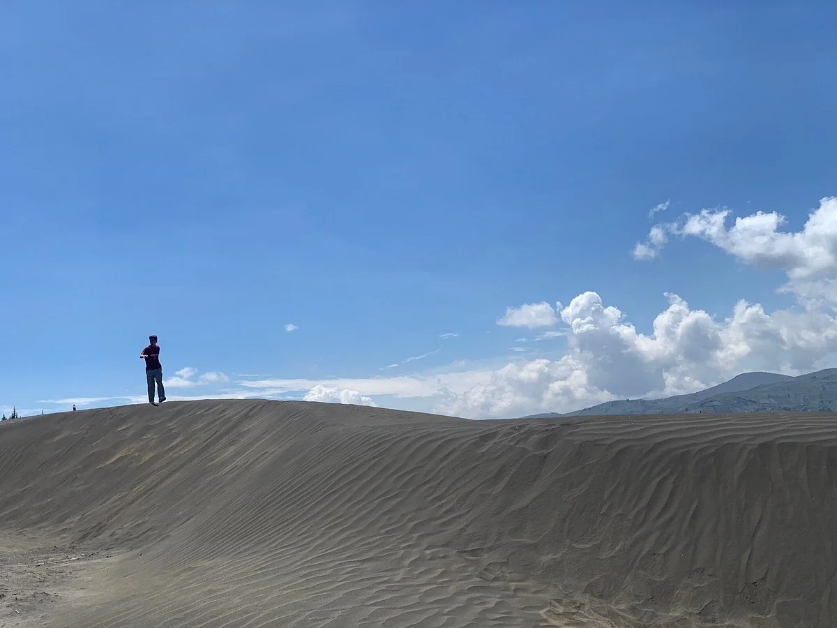 Desierto De Palmira