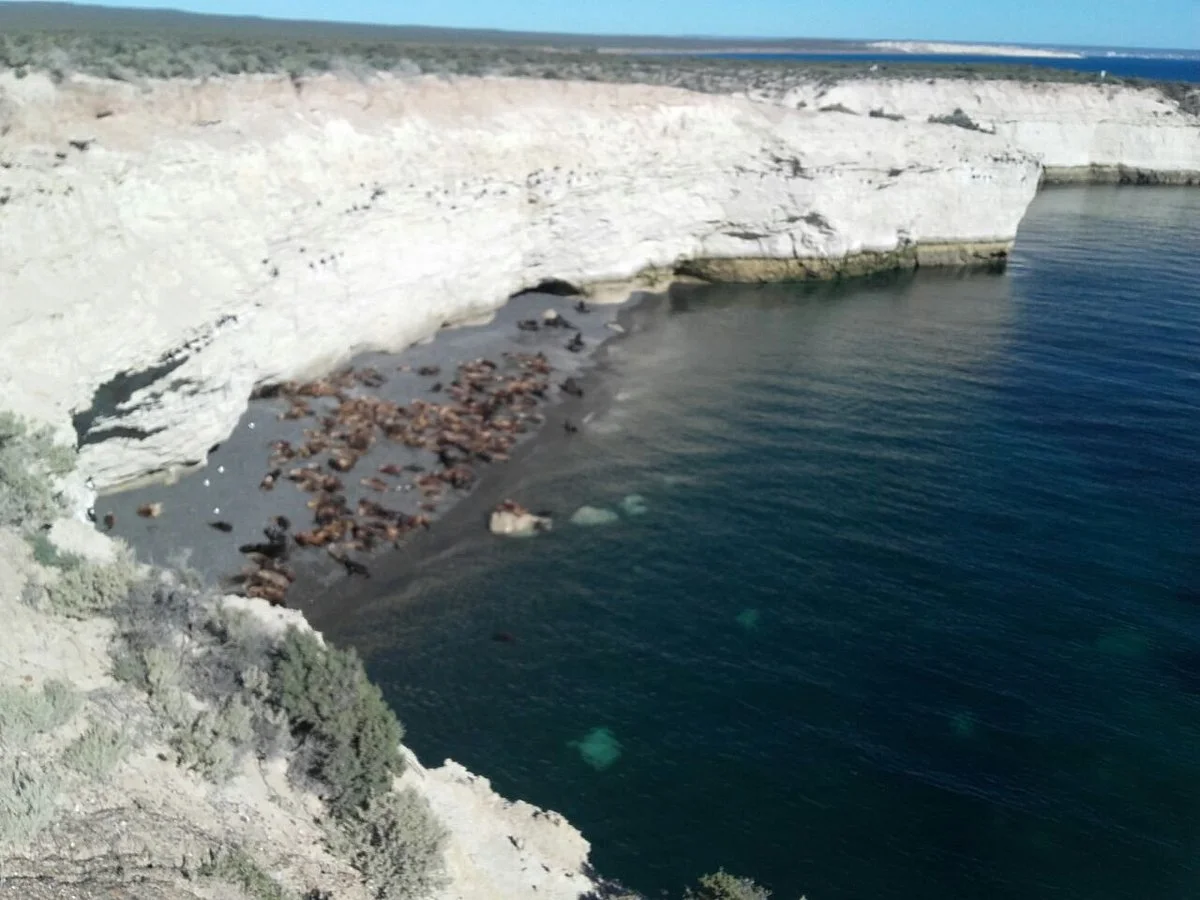 Ualan Tour