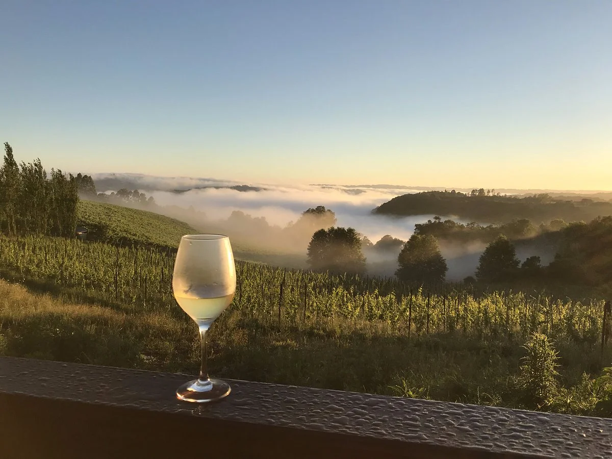 Vinicola Vita Eterna - Degustação e Wine Garden