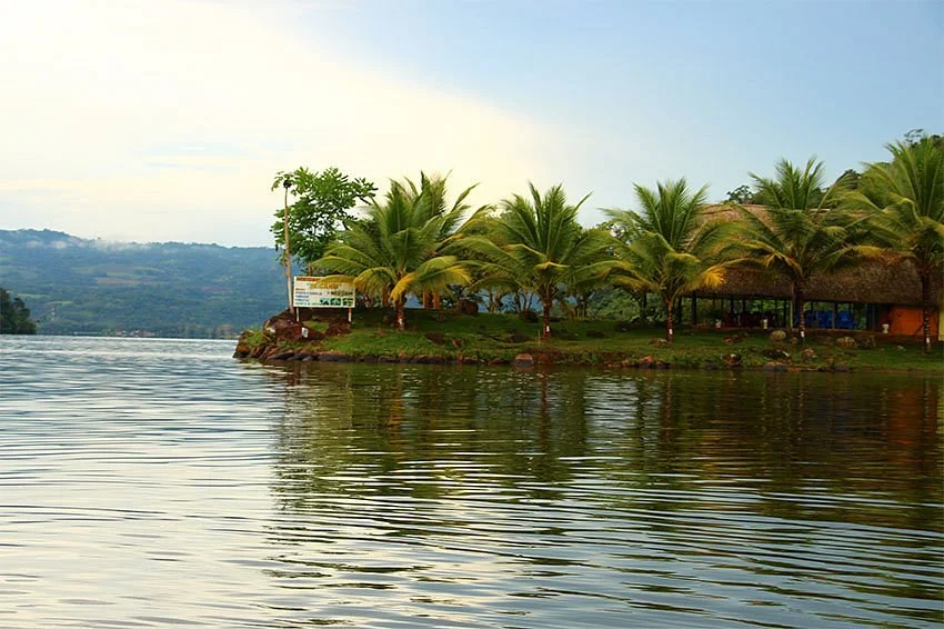 Tingana Tours