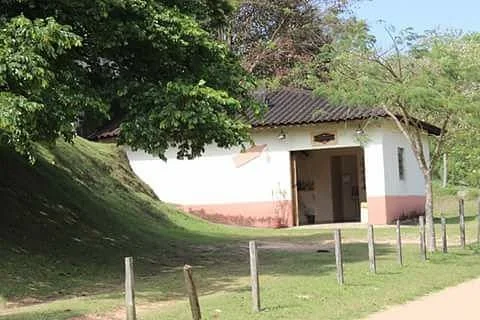 Alambique Pioneira