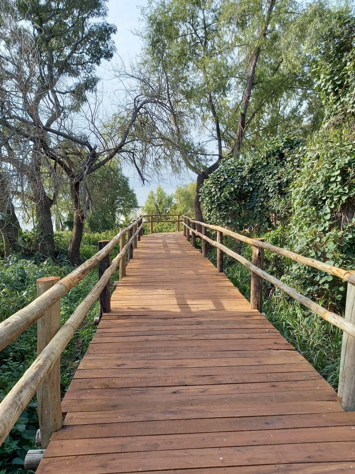 Islote Curupí