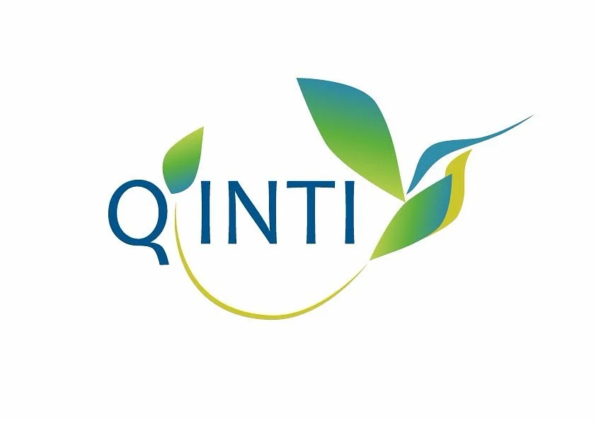 Qinti