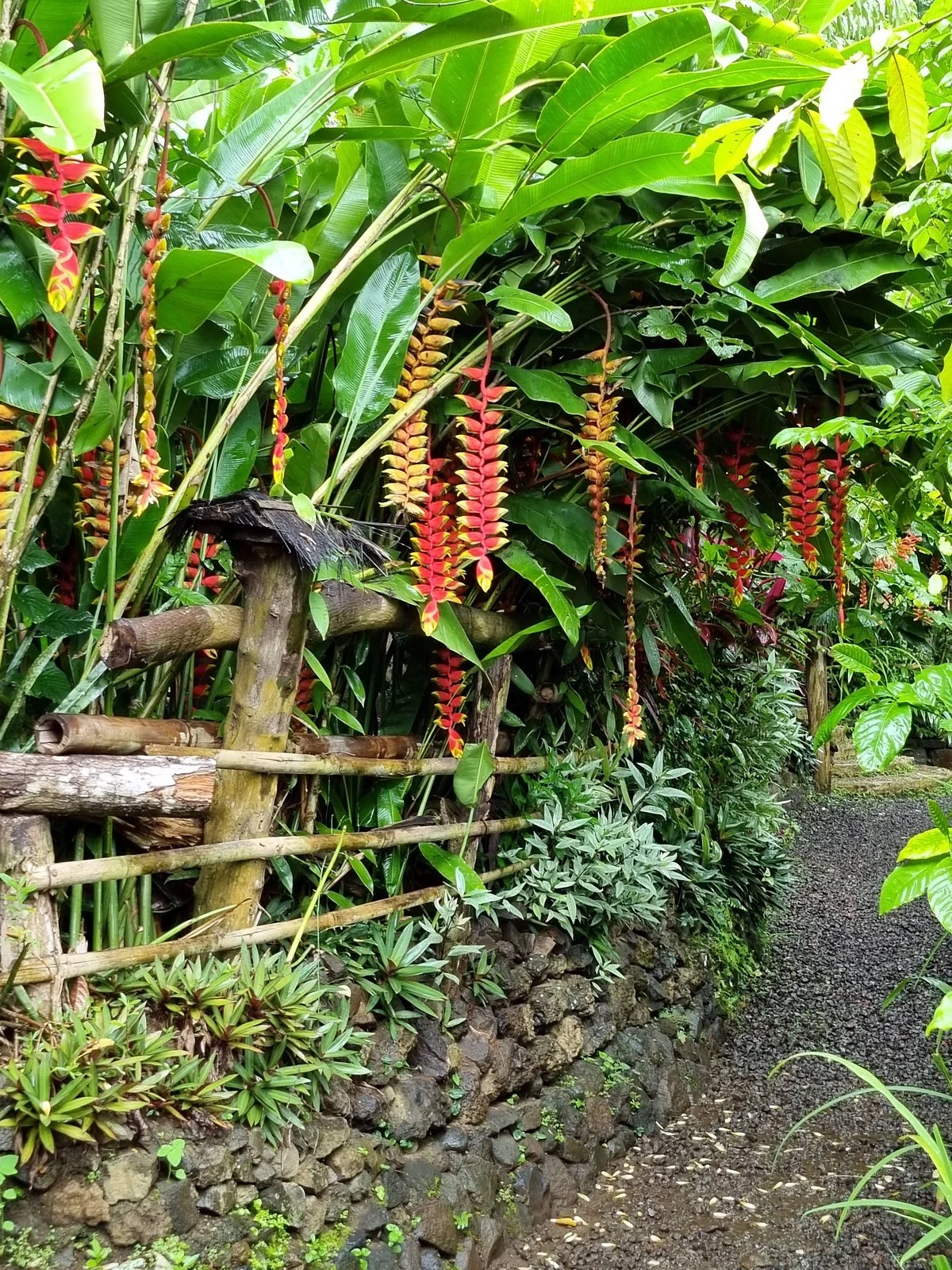 Honeybee Farm & Luwak Coffee Agrotourism