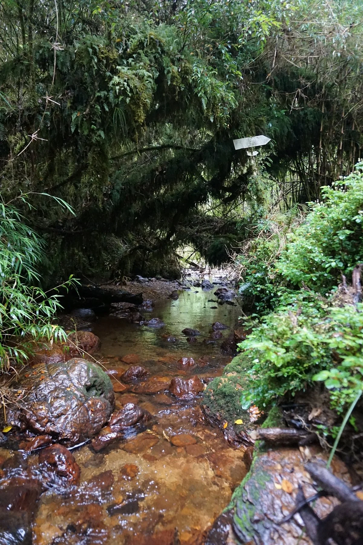 Austral Adventures