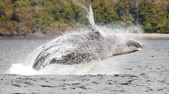 Ecomundo Aventura