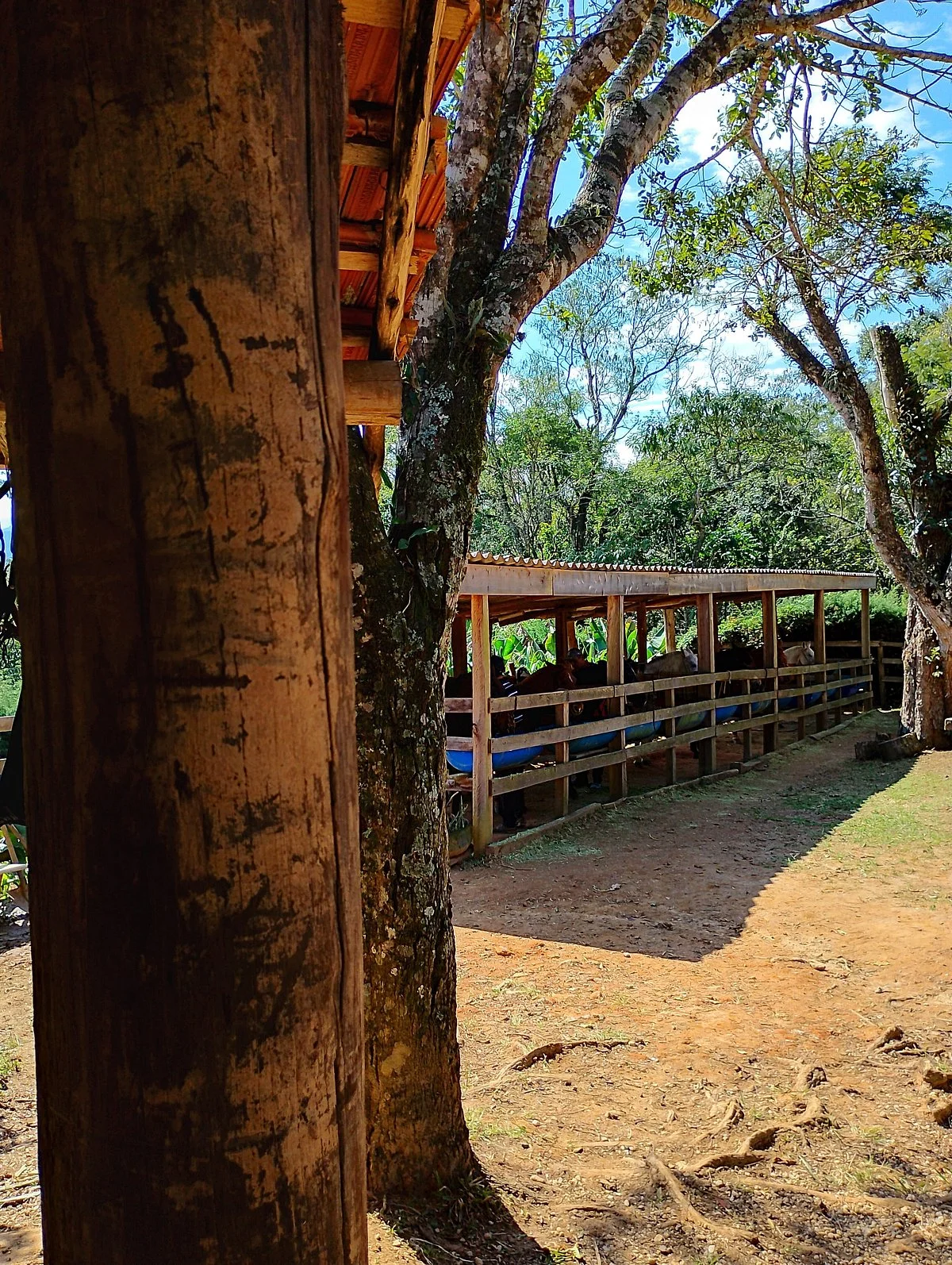 Rancho  Country