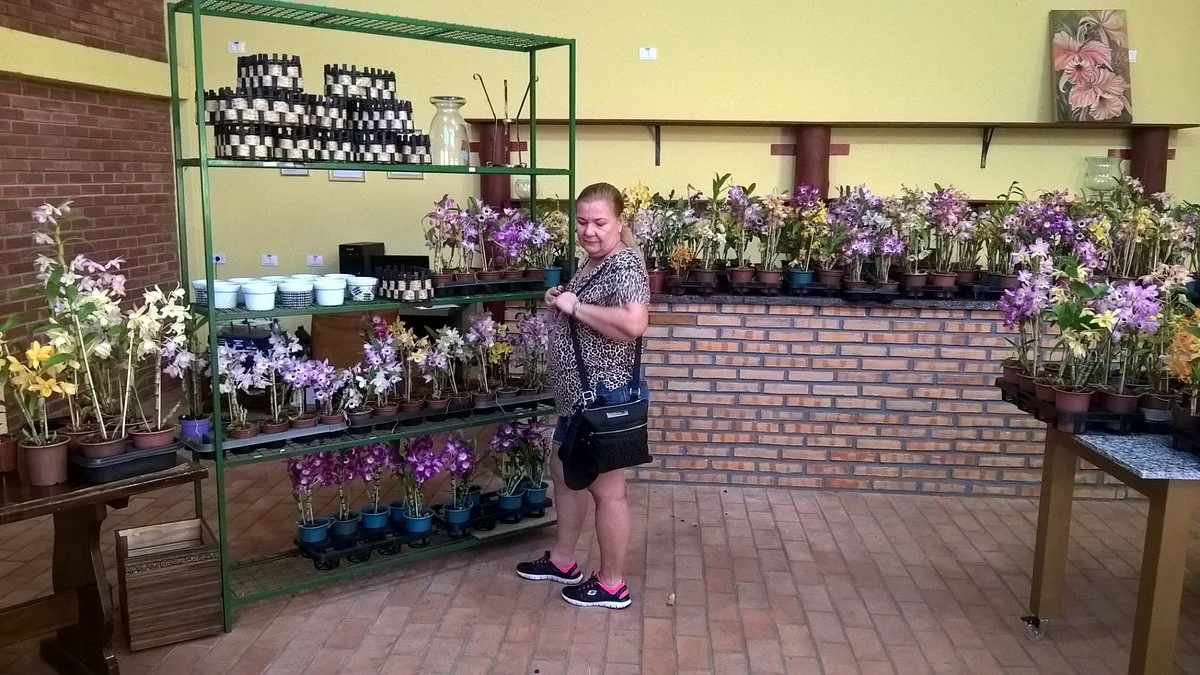 Orquidario Vale Das Orquideas