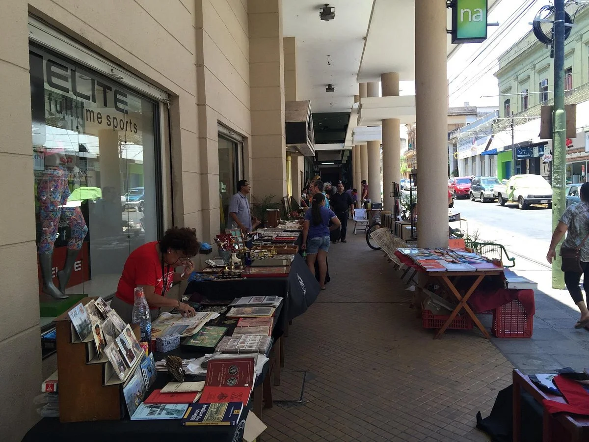 Mercado de Pulgas