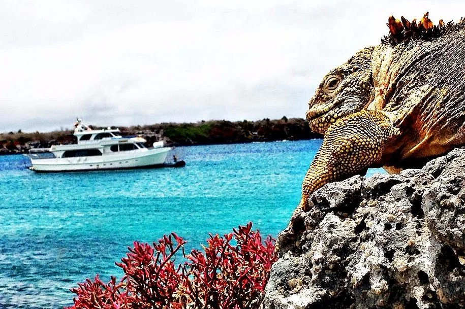 Galapagos Deep