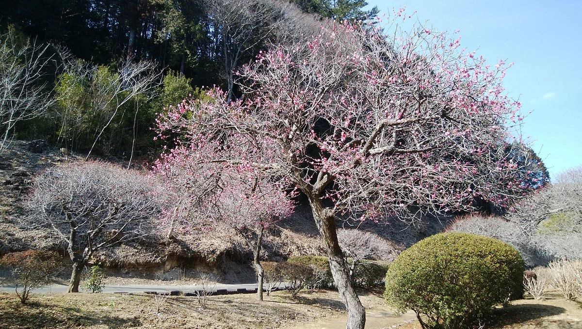 Nishiyama no Sato Togen