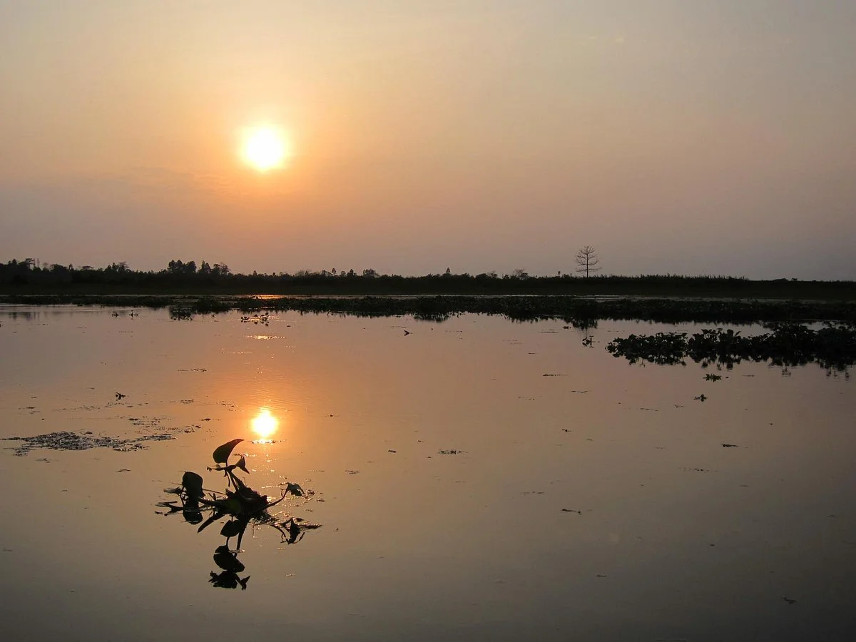 Dibru Saikhowa National Park