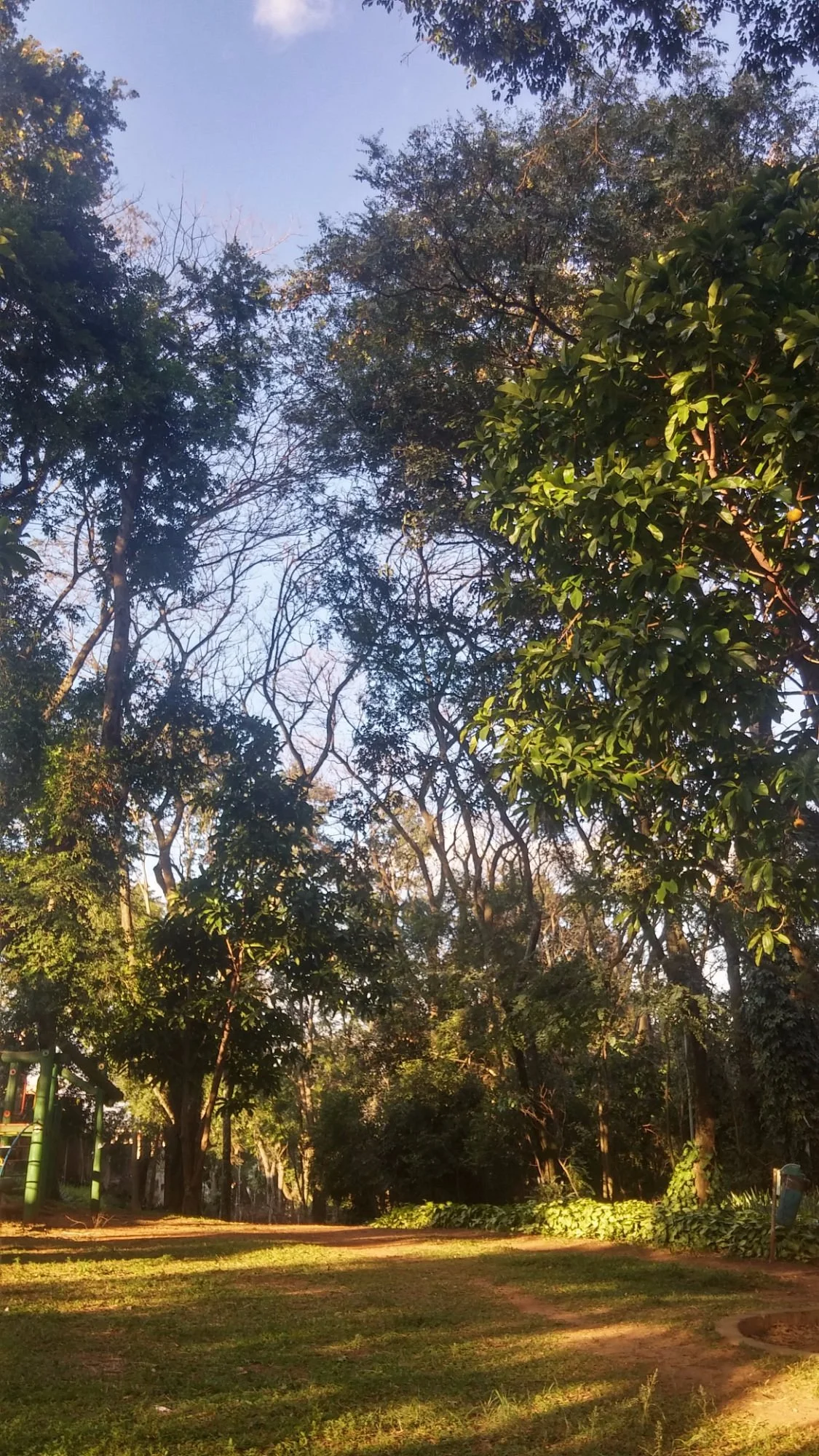 Parque Vila dos Remedios