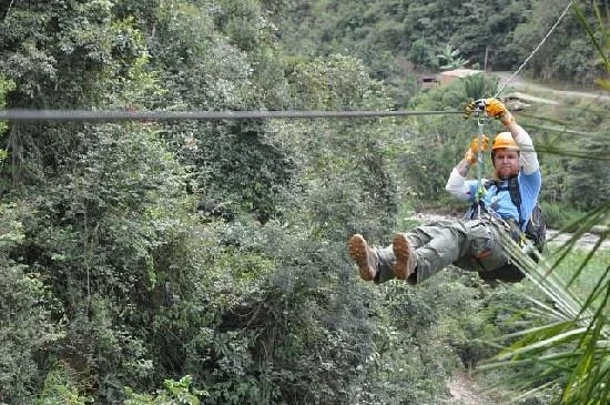 Zzip the Flying Fox