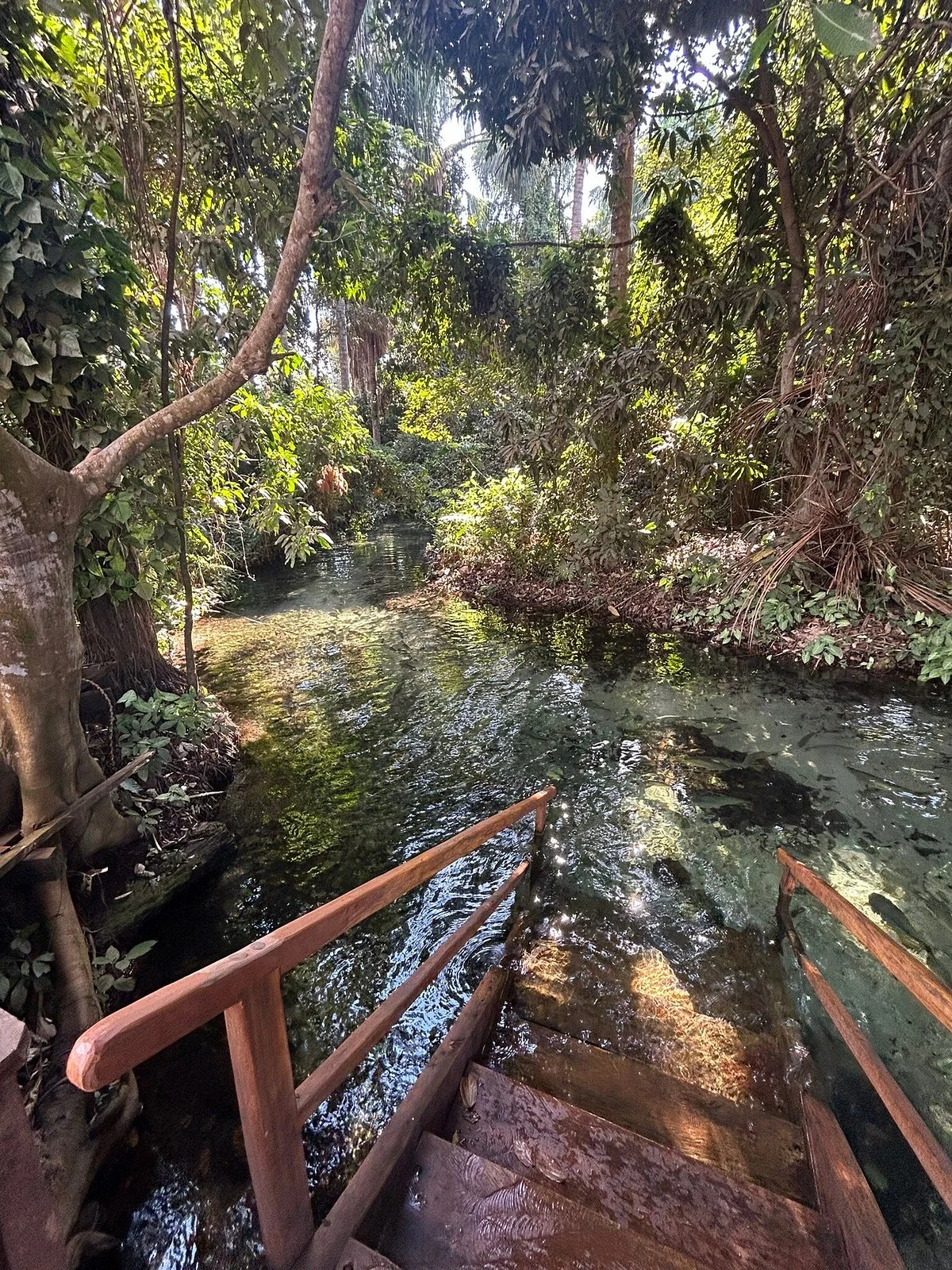 Balneario Estivado
