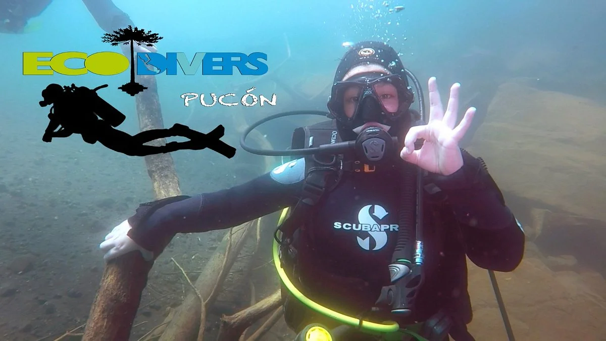 Ecodivers Pucon