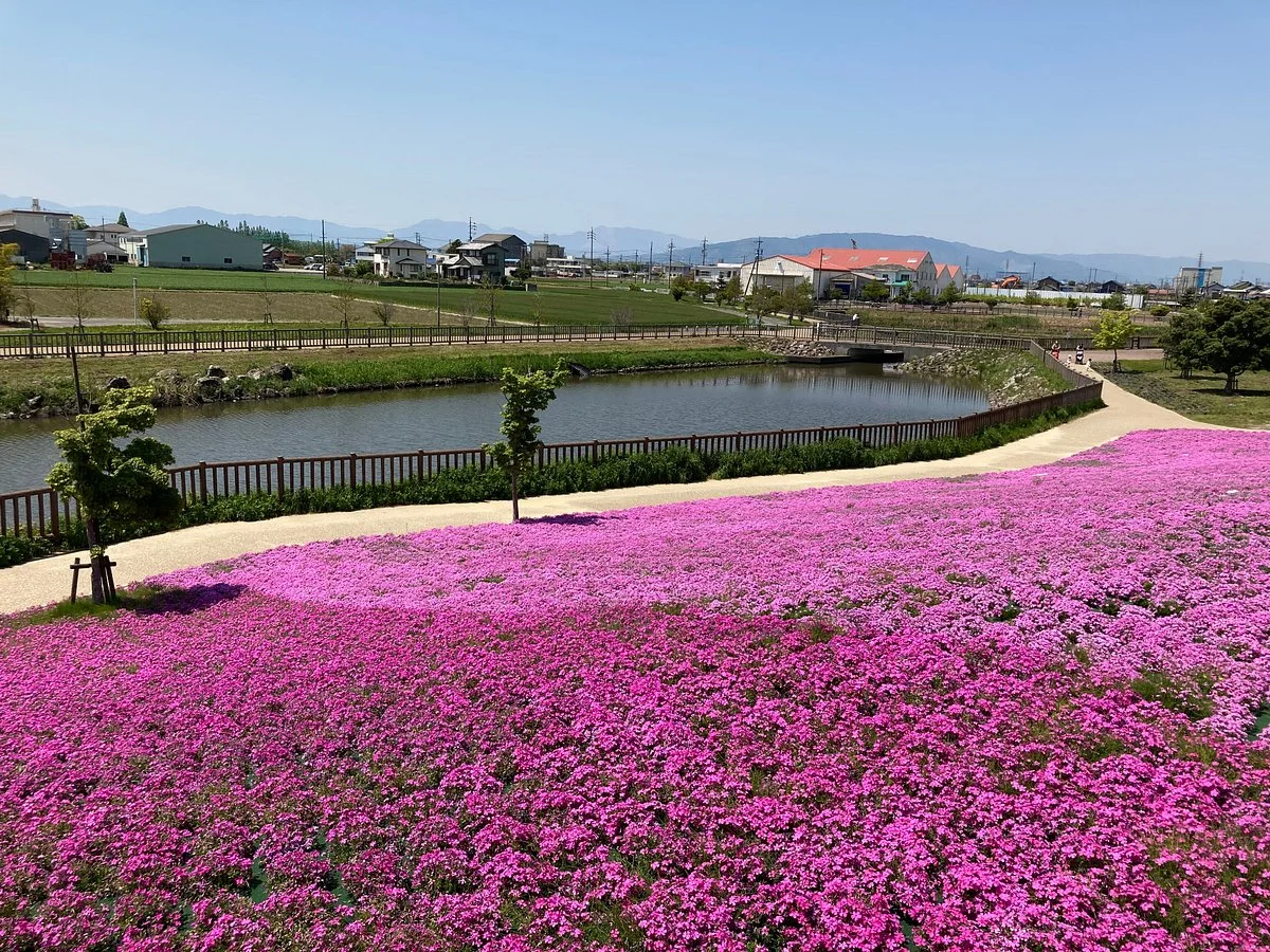 Mitsumata Pond Park