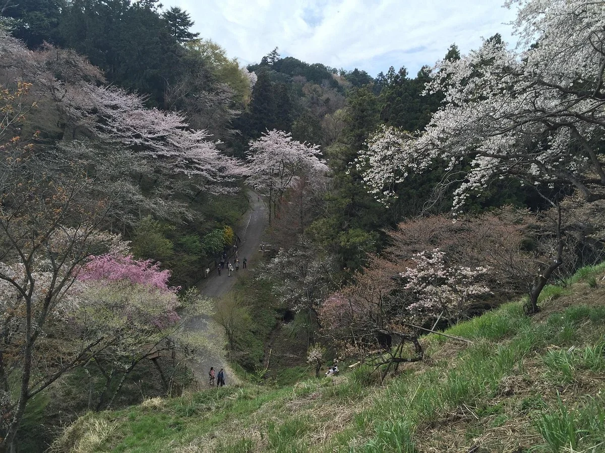 Tama Forest Science Garden