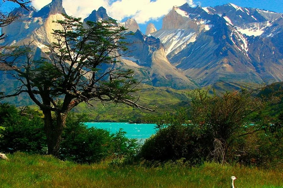 PatagoniaMW
