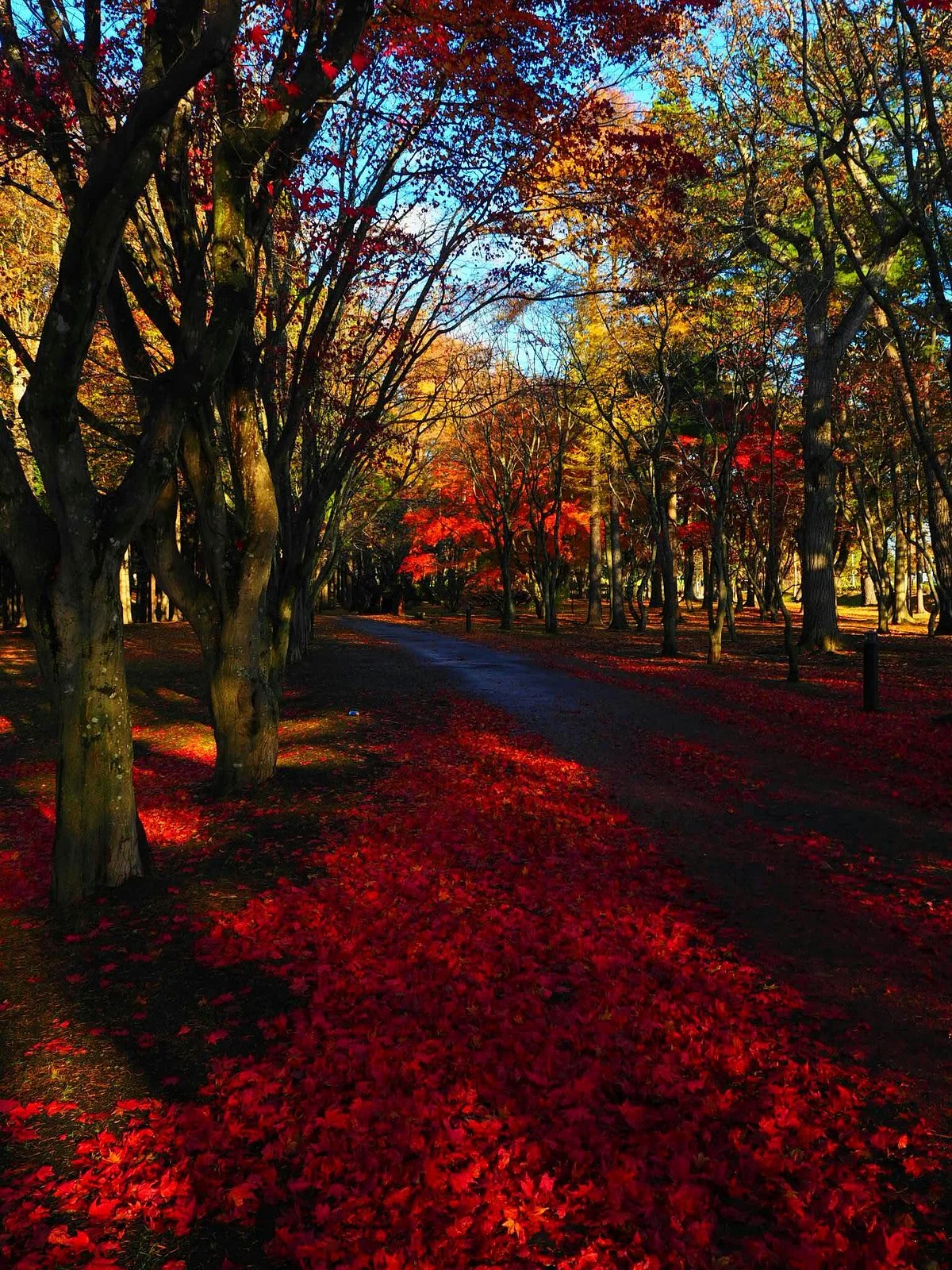 Miharashi Park (Kosetsuen)