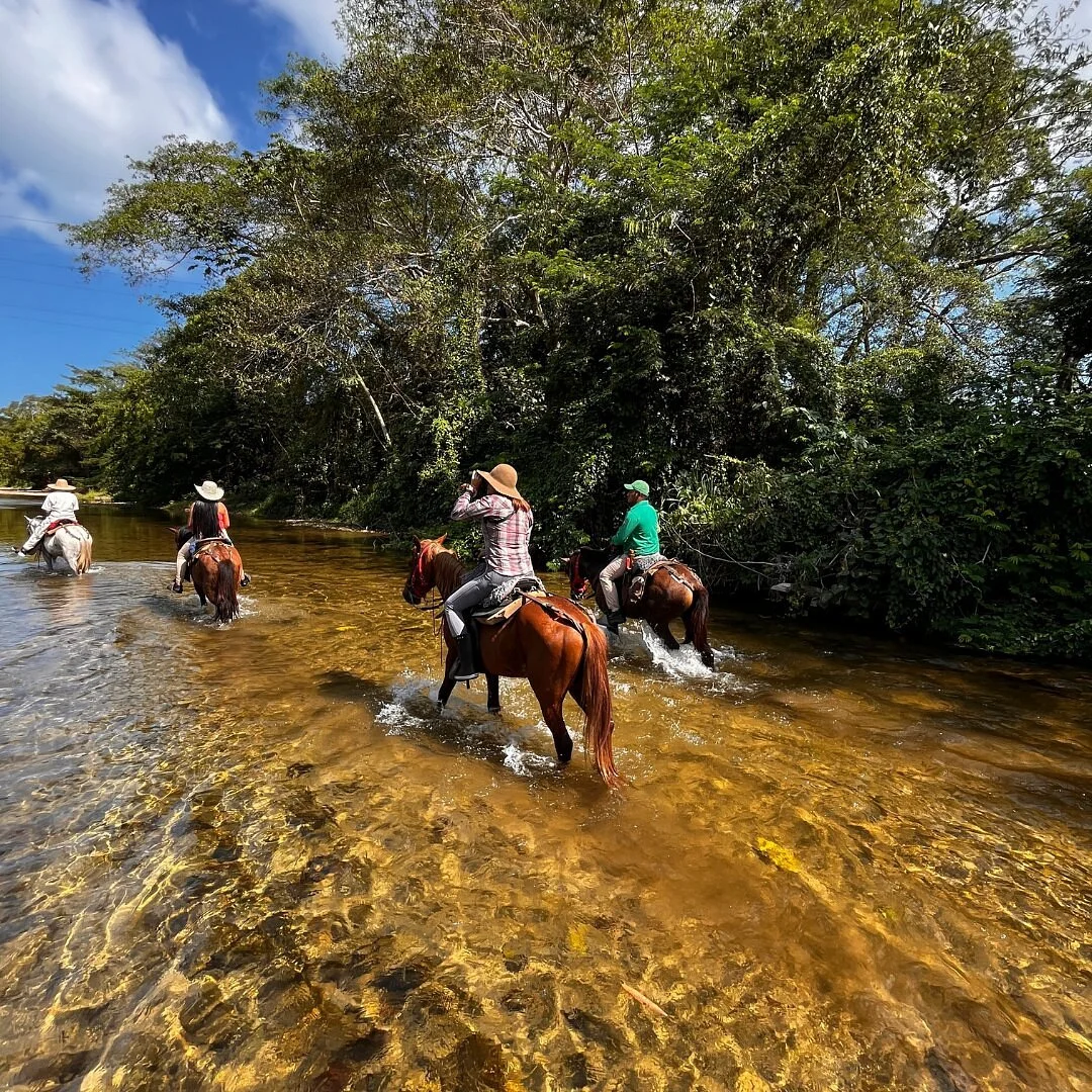 Horse Riding at La Mello Adventure Lodge