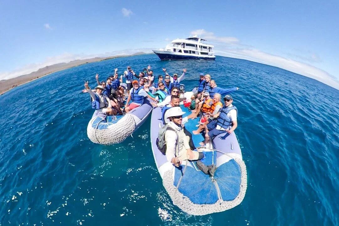 Blue Footed Travel