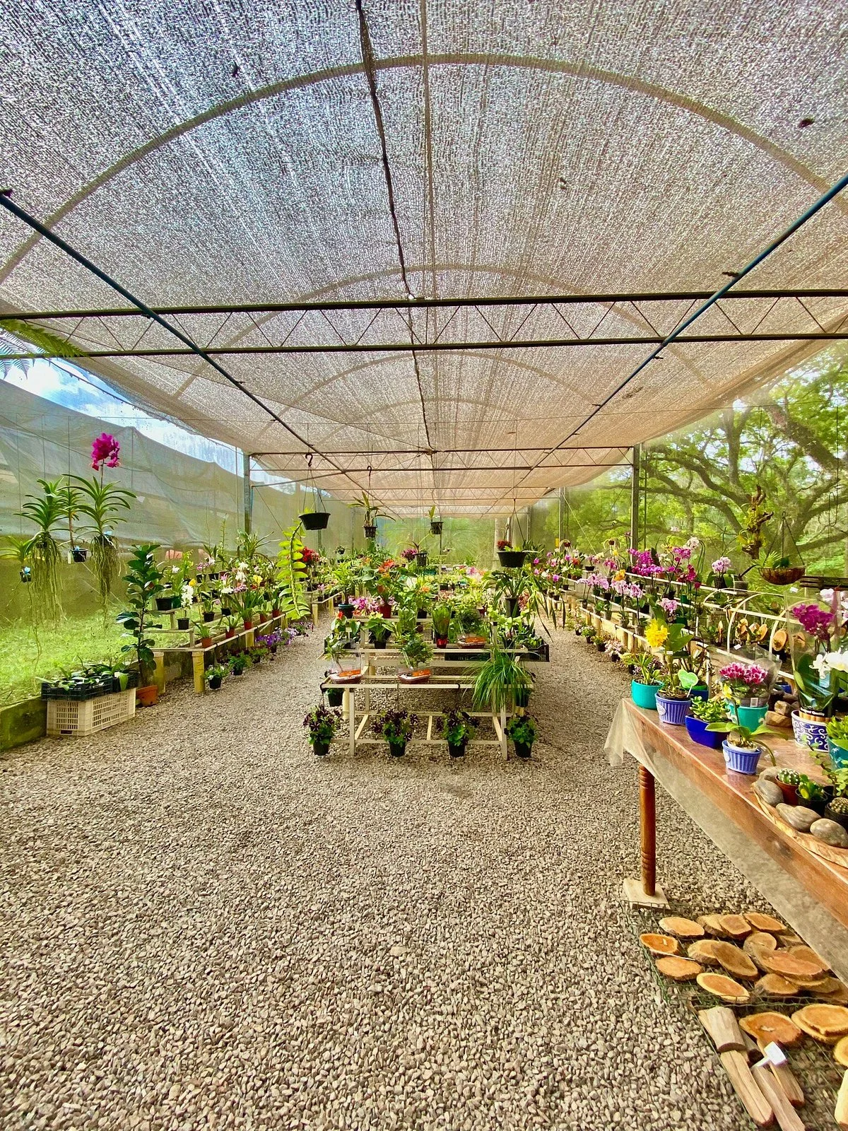 Orquidário Takebayashi