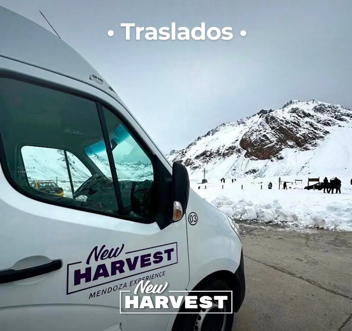 New Harvest Viajes Y Turismo