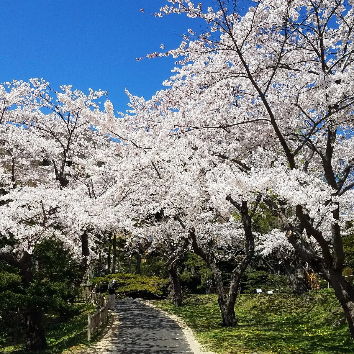 Hakodate Park