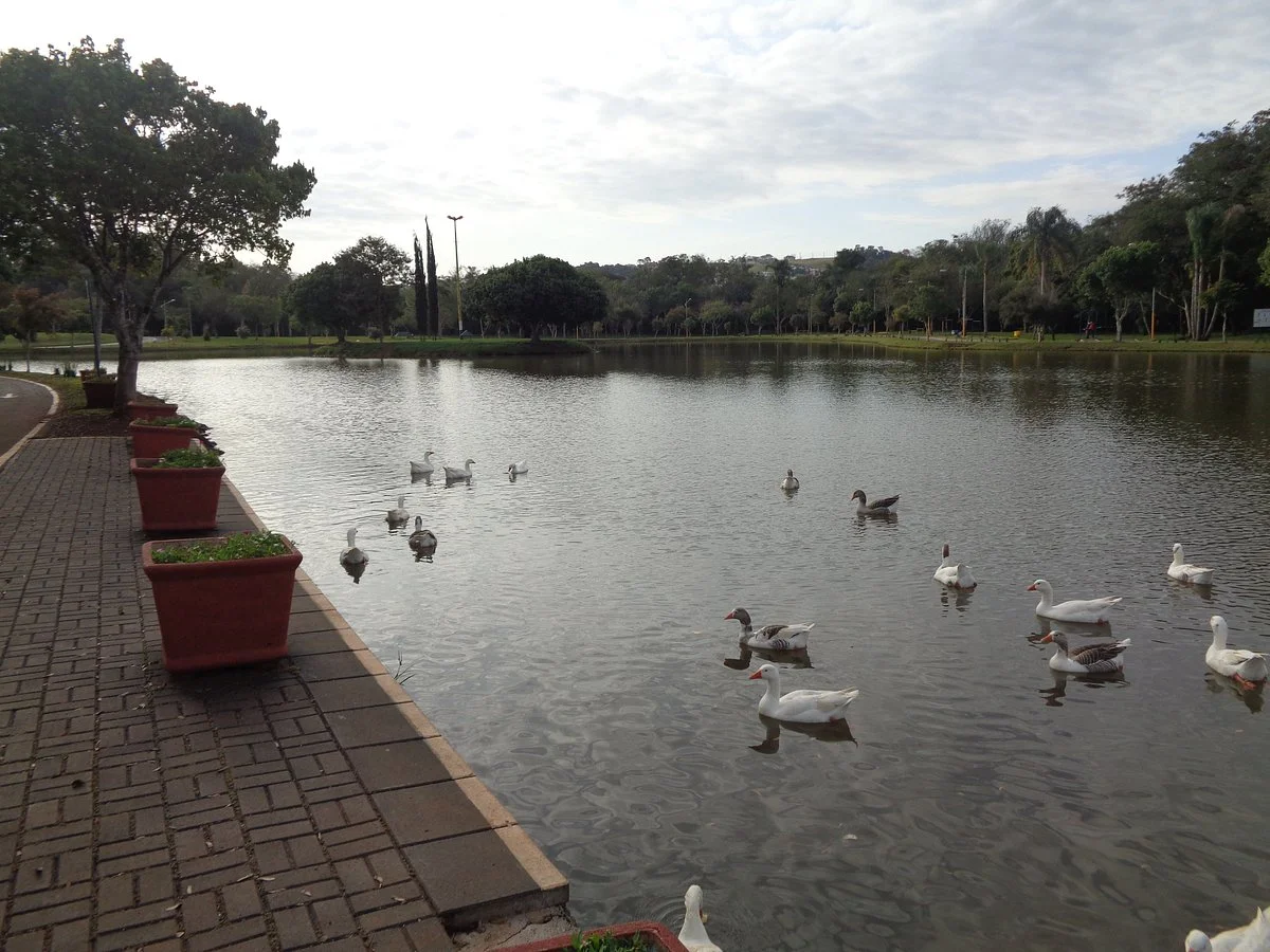 Parque Ambiental Jorge Backes, Lago Alvorada