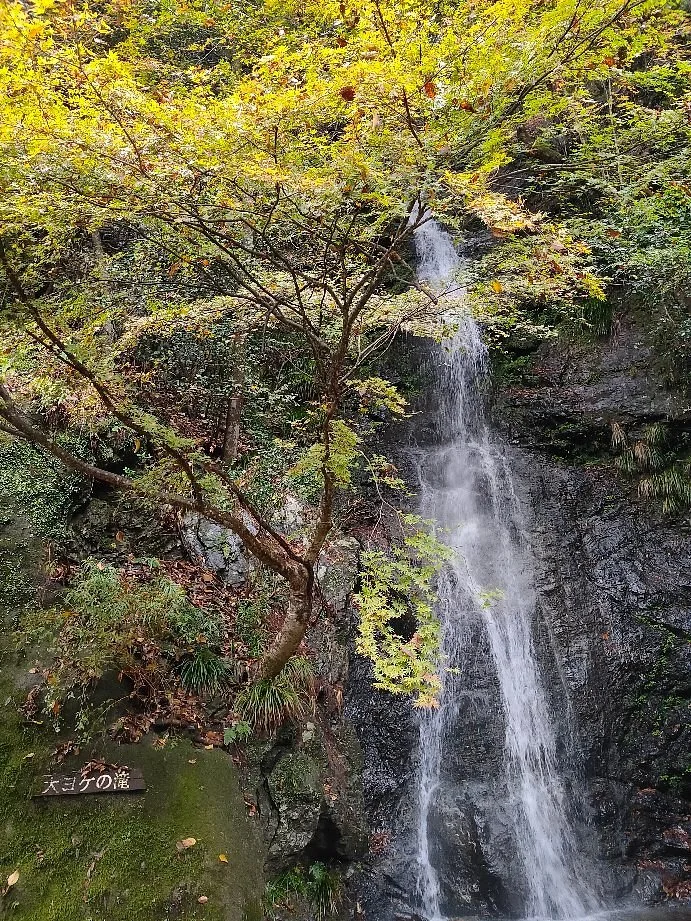 Oyoke Falls