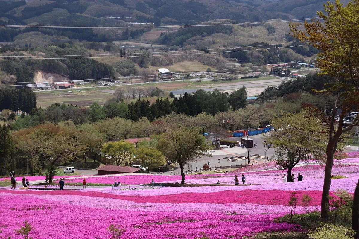 Jupia Land Hirata