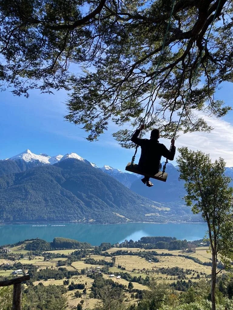 Coihue de Los Columpios