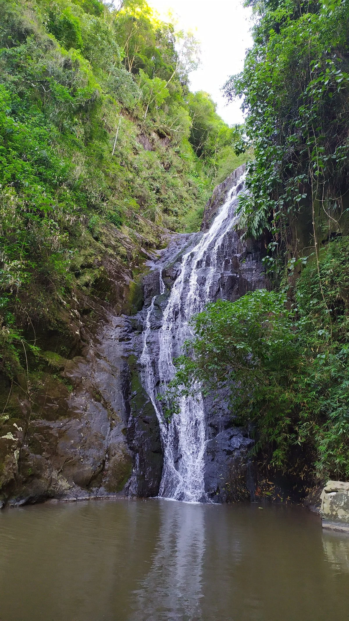 Fazenda Wolff