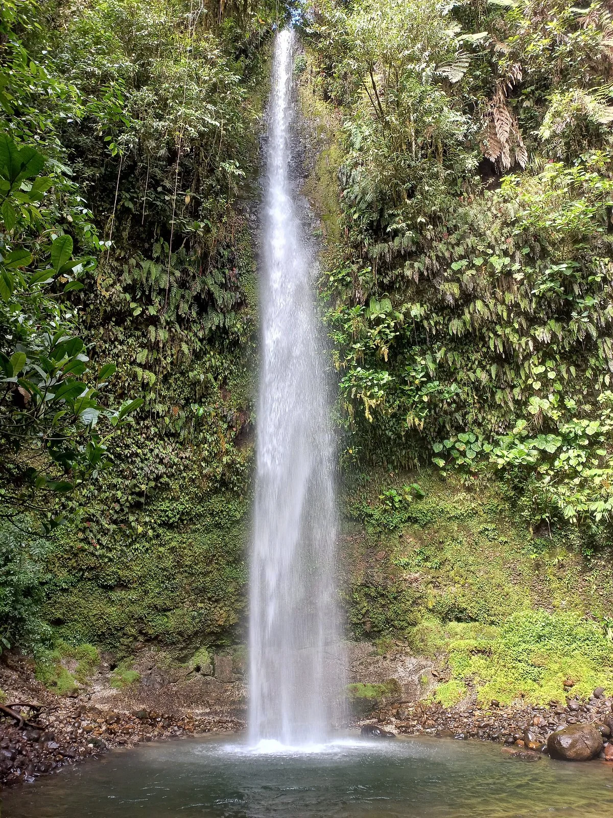 Cascada Hola Vida