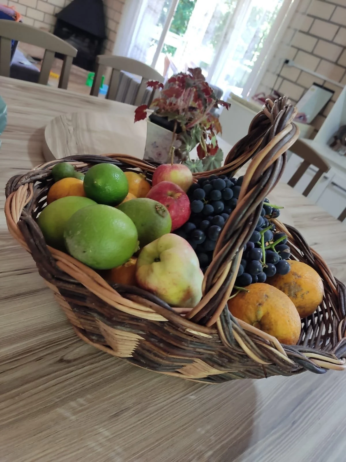 Sítio Citrus