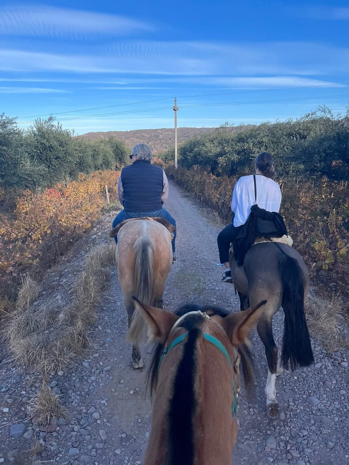 Cabalgatas Rancho Viejo