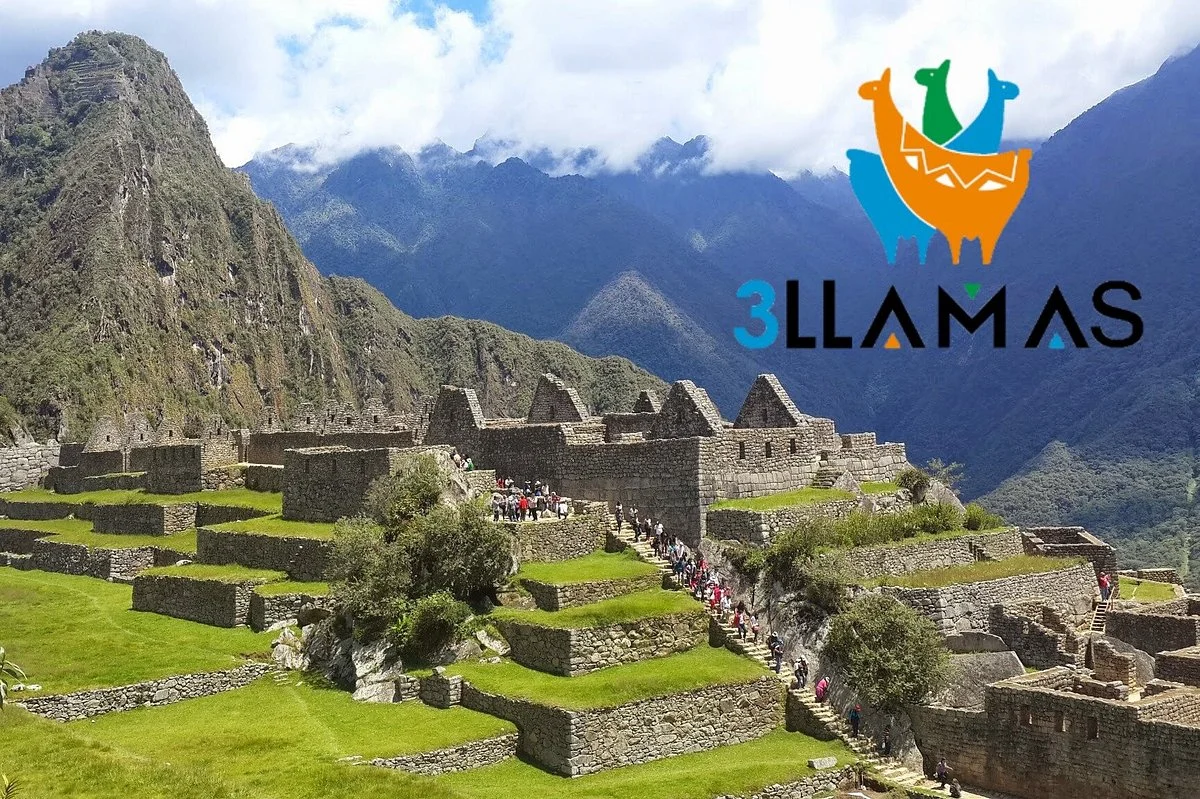 3 Llamas Peru