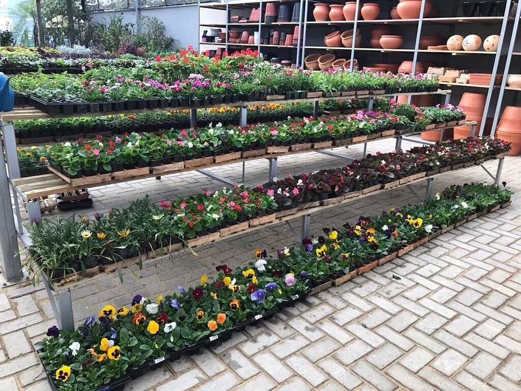 Barni Garden Center