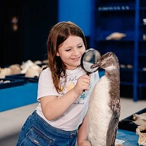 Escuna Vó Nica