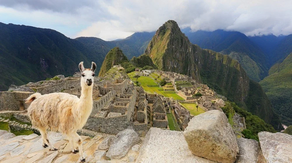 Machupicchu VIP Explorer