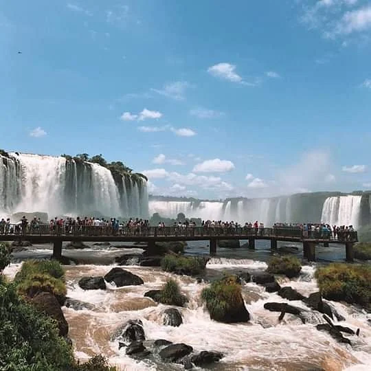 Falls Transfer