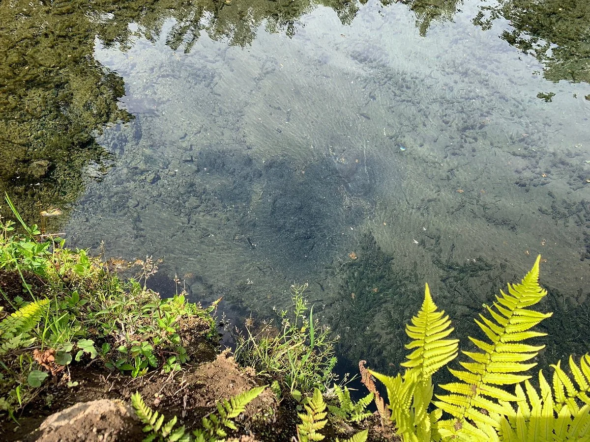 Chosi Pond