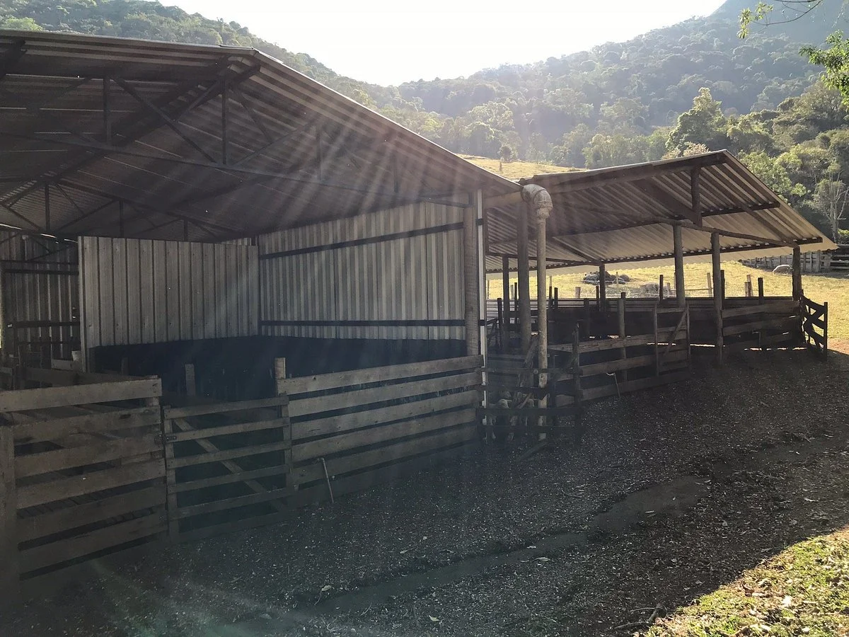 Sao Joao Das Tres Ovelhas
