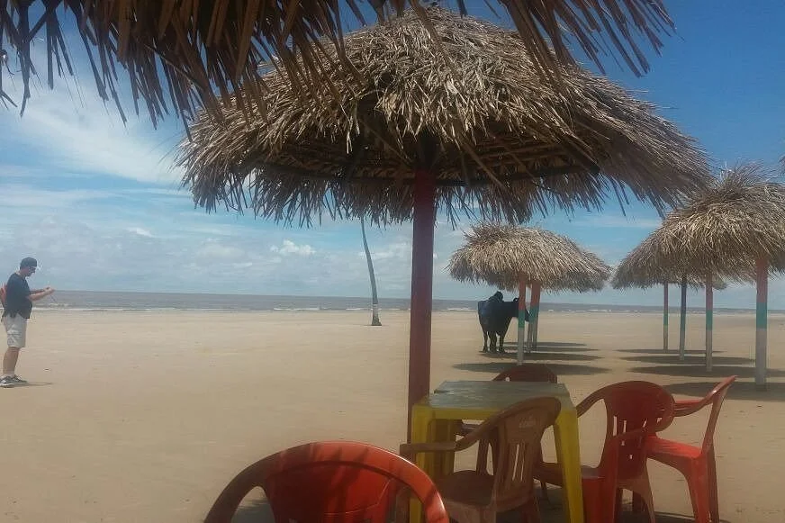 Amazon Amazing Tours, Ilha do Marajó