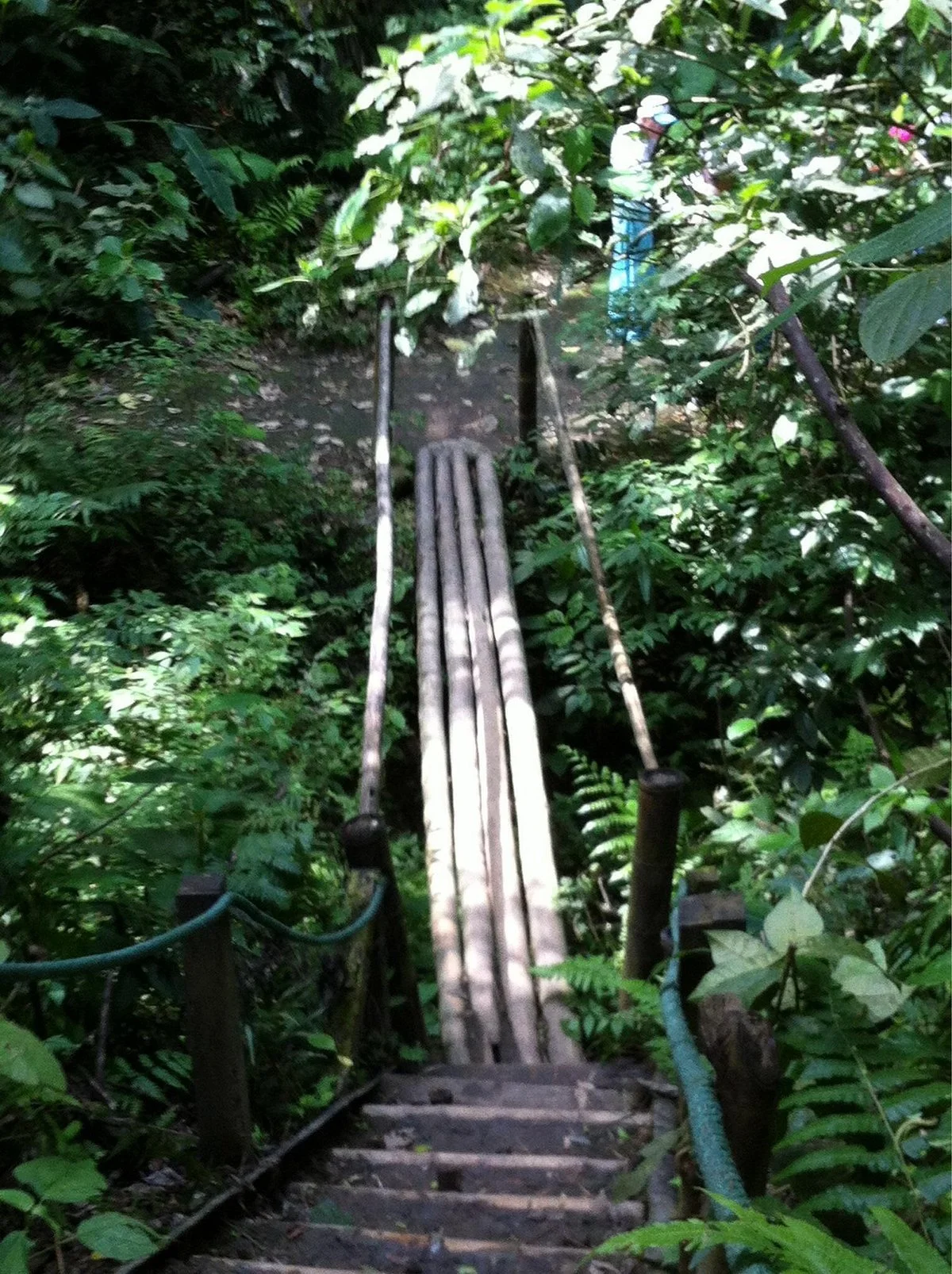 Bosque Tropical Pacoche